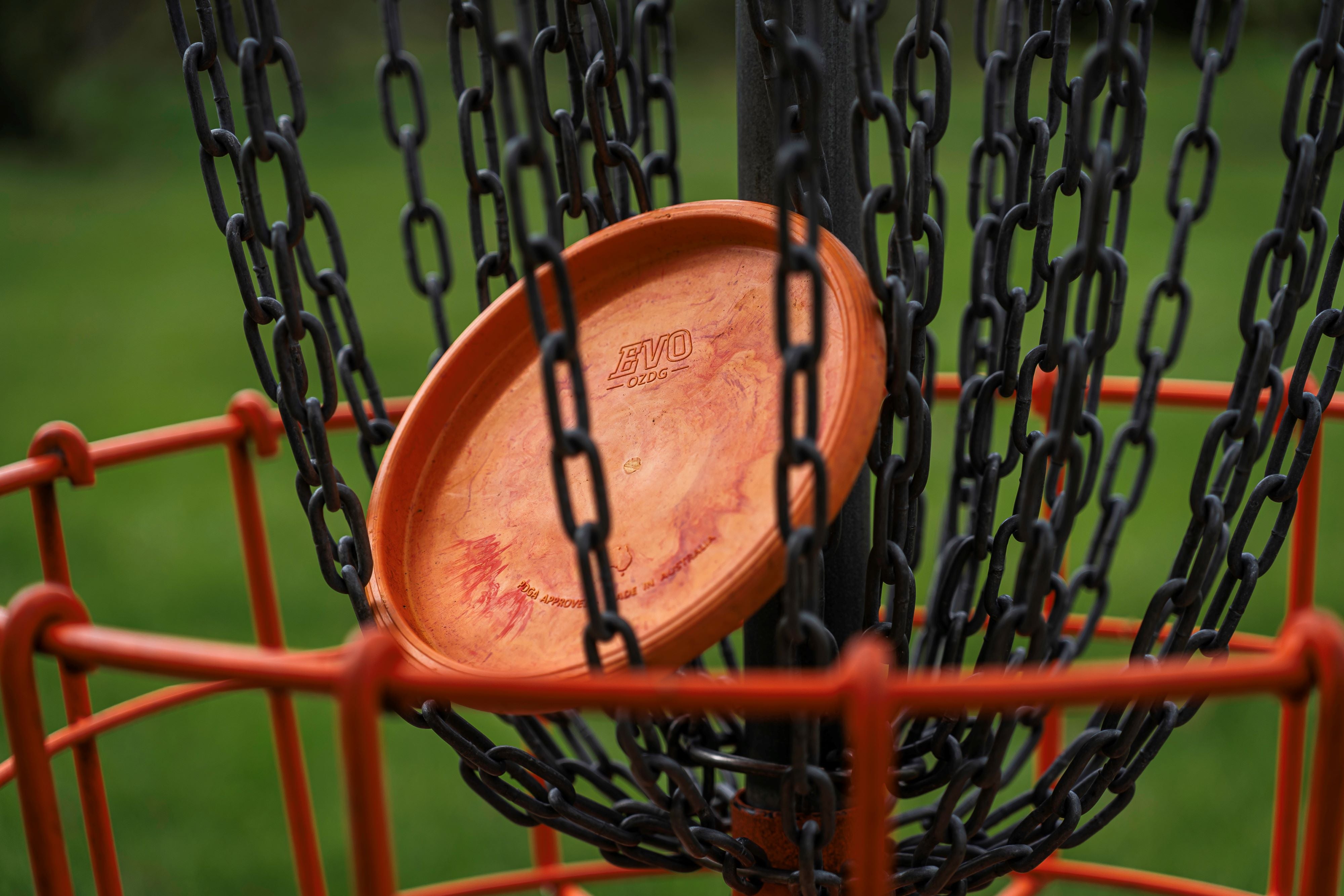 Disc golf putter in a disc golf basket