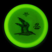 Glow Tara Iti