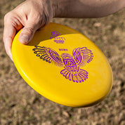 RPM Discs Ruru in Magma being held ready to throw