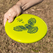 RPM Discs Ruru in Atomic being held ready to throw