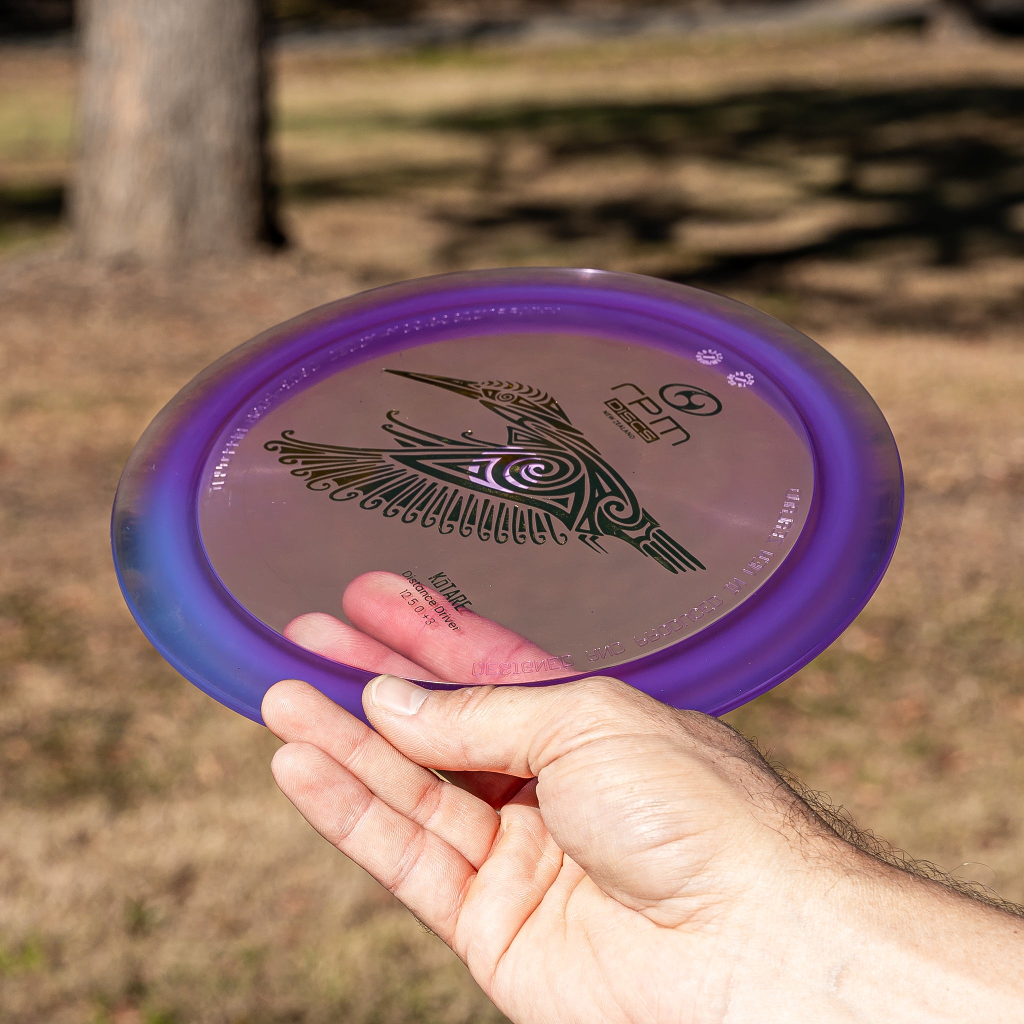 RPM Discs Kotare in Cosmic being held ready to throw